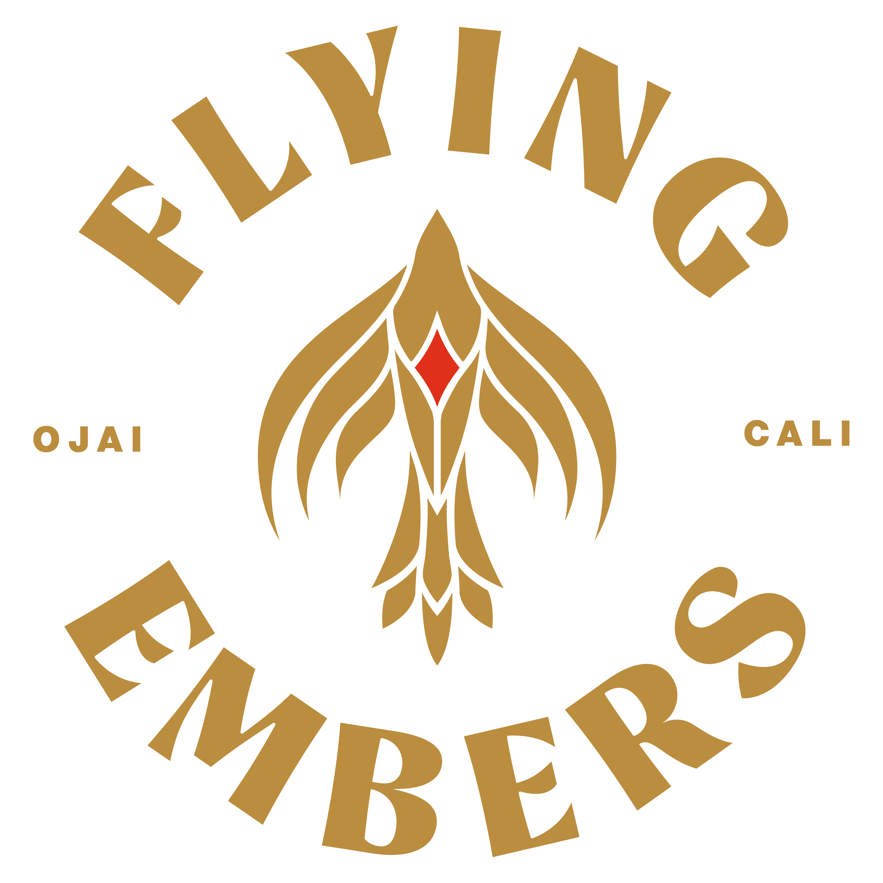 Flying Embers